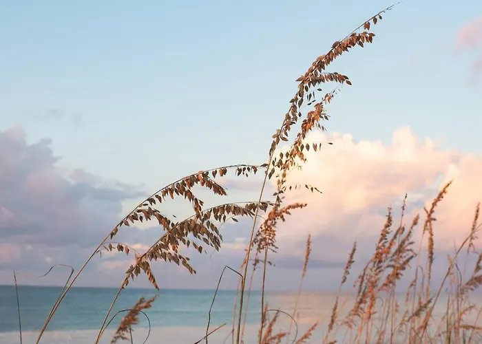 Holiday home Peaceful 4br*private Pool*3-5 Min Walk To Beach! *